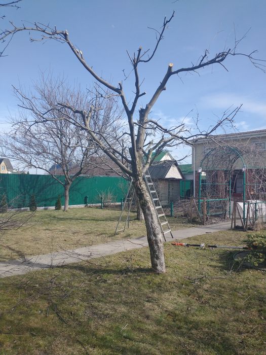 Послуги садівника
