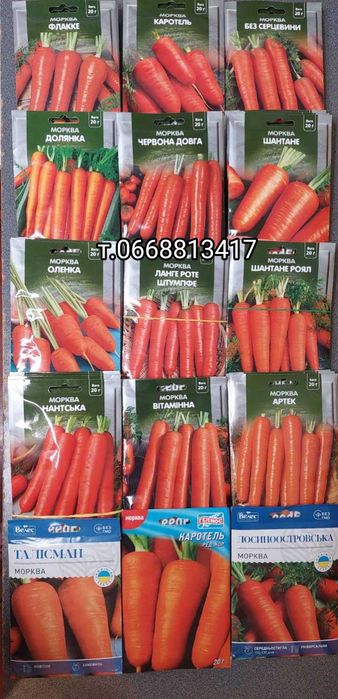 Насіння Моркви Лагуна Абако Канада Шантане Нантес Оленка Червоний Веле