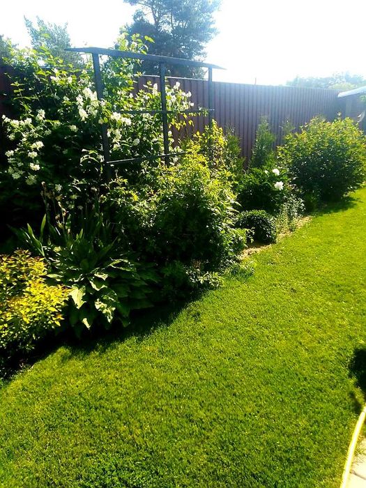 Теплий будинок біля лісу річки та Київського моря без %