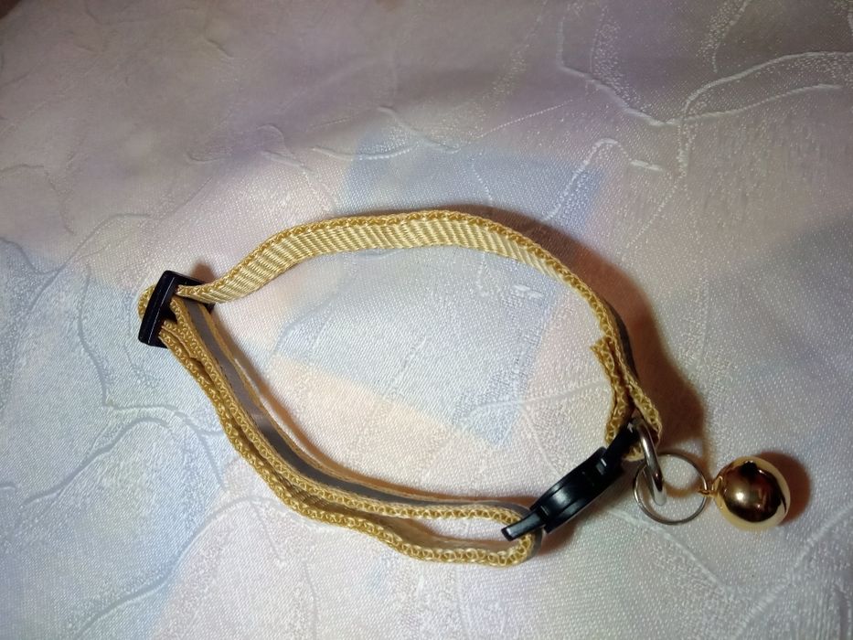 Світловідбивний нашийник для котів