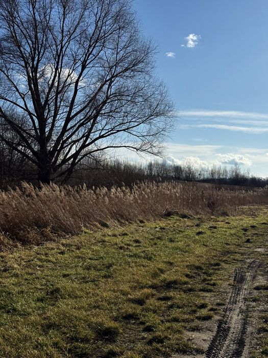Продаж земельної ділянки с.Гостинцеве