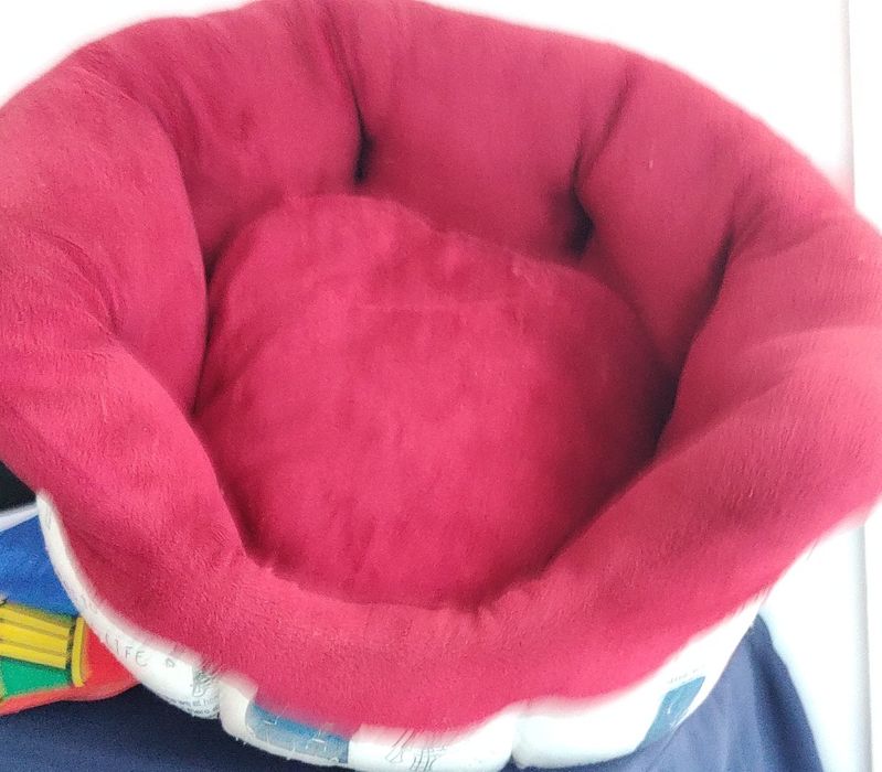 Cama para gato, em muito bom estado