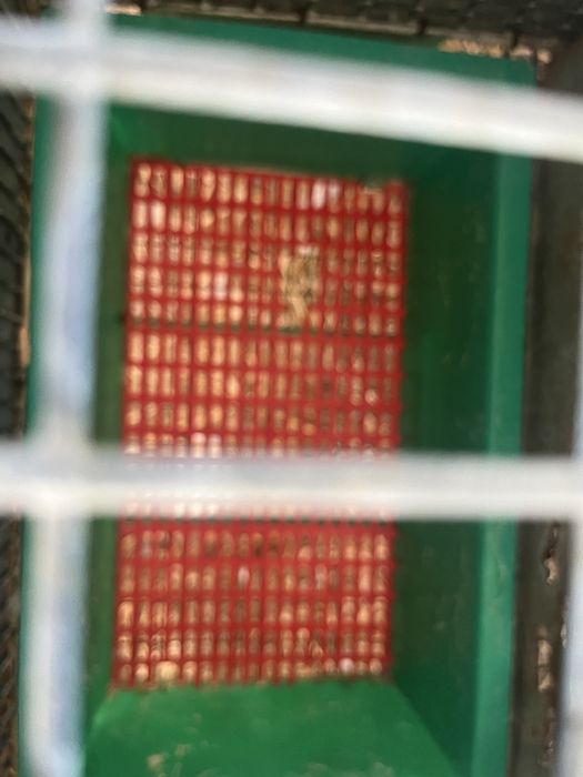 Vendo gaiolas para coelhos de engorda e maternidade