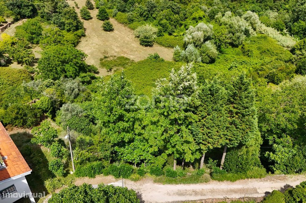 .Terreno Rustico | Bera |Almalaguês