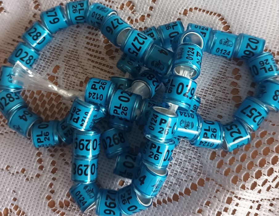 Obrączki dla gołębi PL 2026r