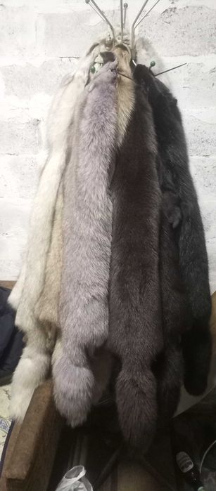 ХУТРО ПЕСЦЯ НОВЕ шкірки