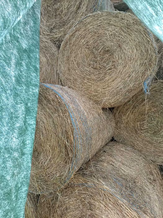 Siano pierwszy pokos