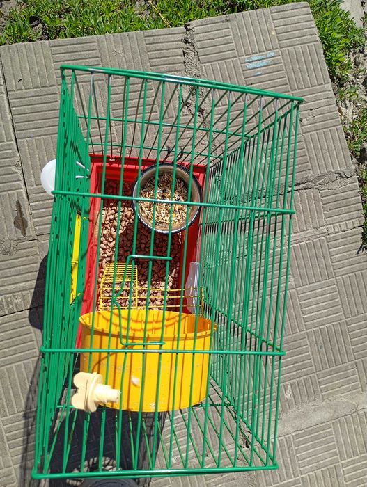 Клітка для хом'яків