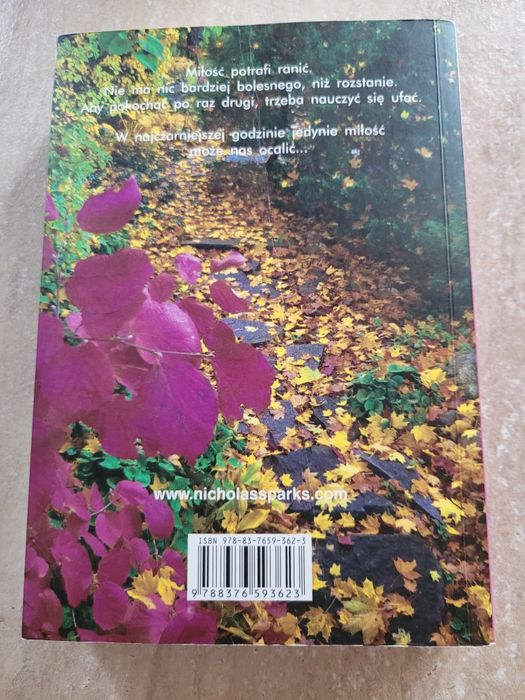 Bezpieczna przystań Nicholas Sparks