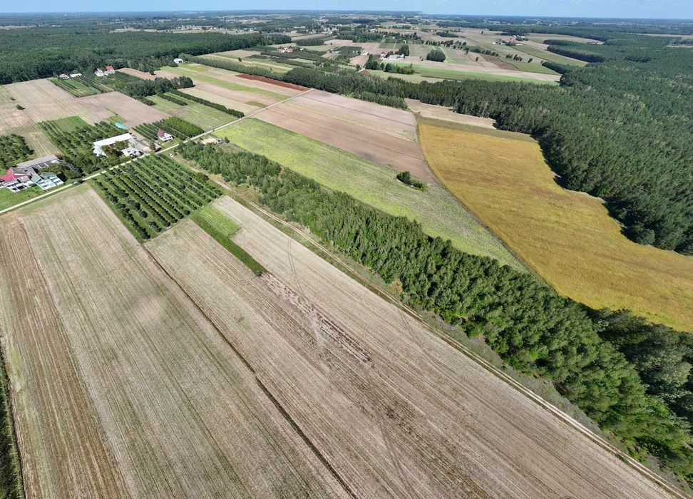 Działka z WZ Zapiecki gmina Pomiechówek powiat Nowodworski 1505 mkw - Widok 4