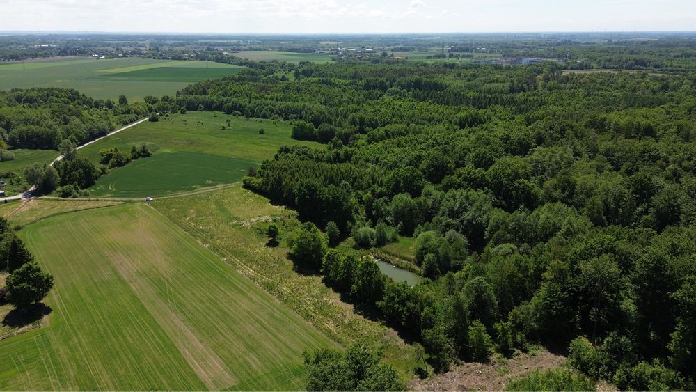 Działka budowlana pod lasem z własnym stawem obok Słupska - View 2