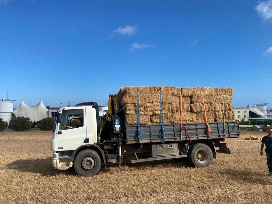 Daf CF 250 com grua