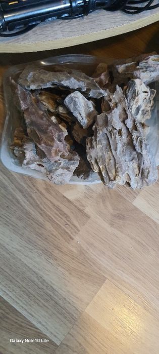 Aquário panorâmico e respectivos acessórios.