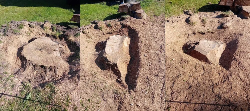 Frezowanie karczowanie usuwanie pni karp korzeni drzew