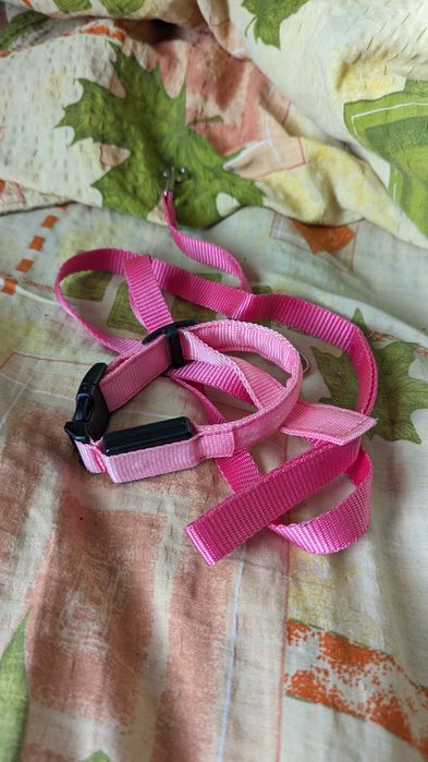 Ошейник с подсветкой для кота LED