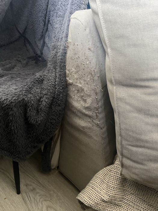 Chaise longue cinzento