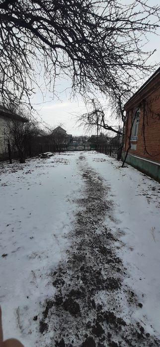 Продам будинок з земельною ділянкою 0.74га