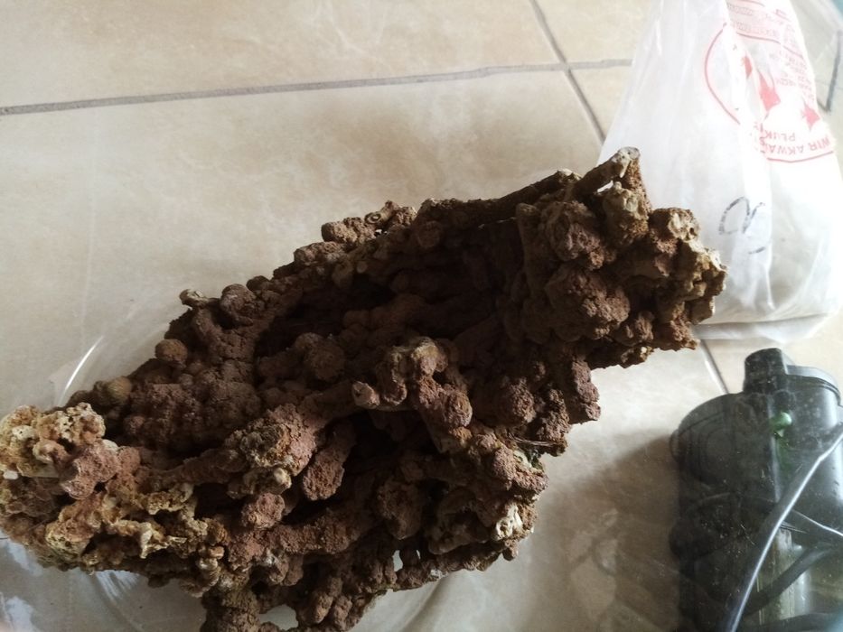 Akwarium kula 8l