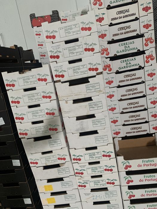 Caixas para fruta usadas