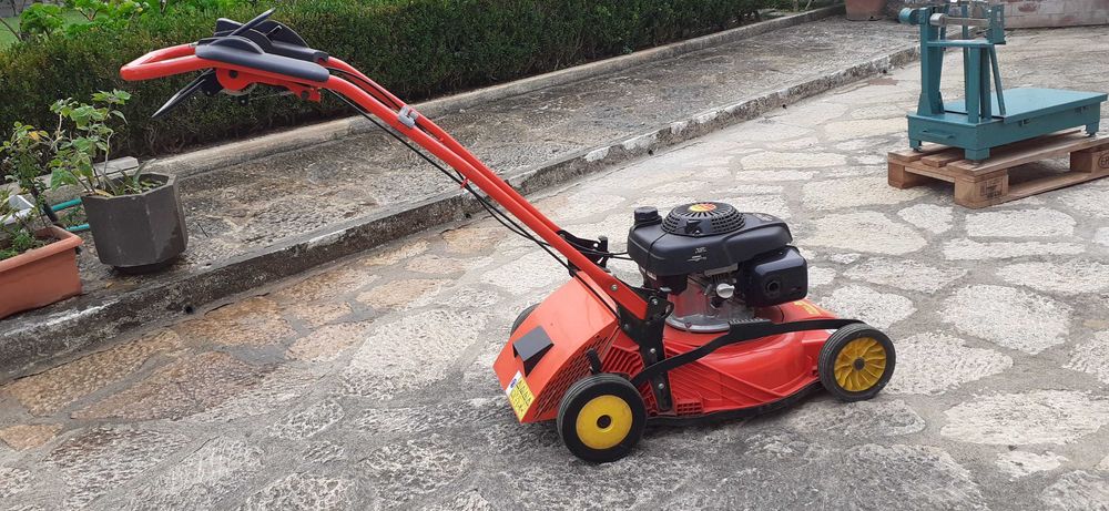 Corta relva Wolf Jardim