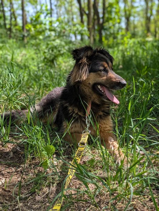 Puchata Agnes marzy o nowym domu!