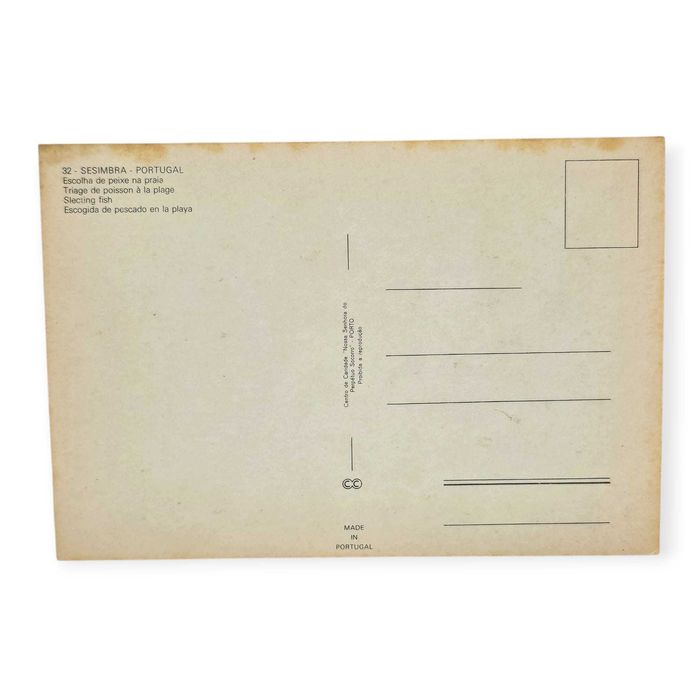 Postal Antigo–Sesimbra Portugal–Escolha de Peixe na Praia(Década 1950)