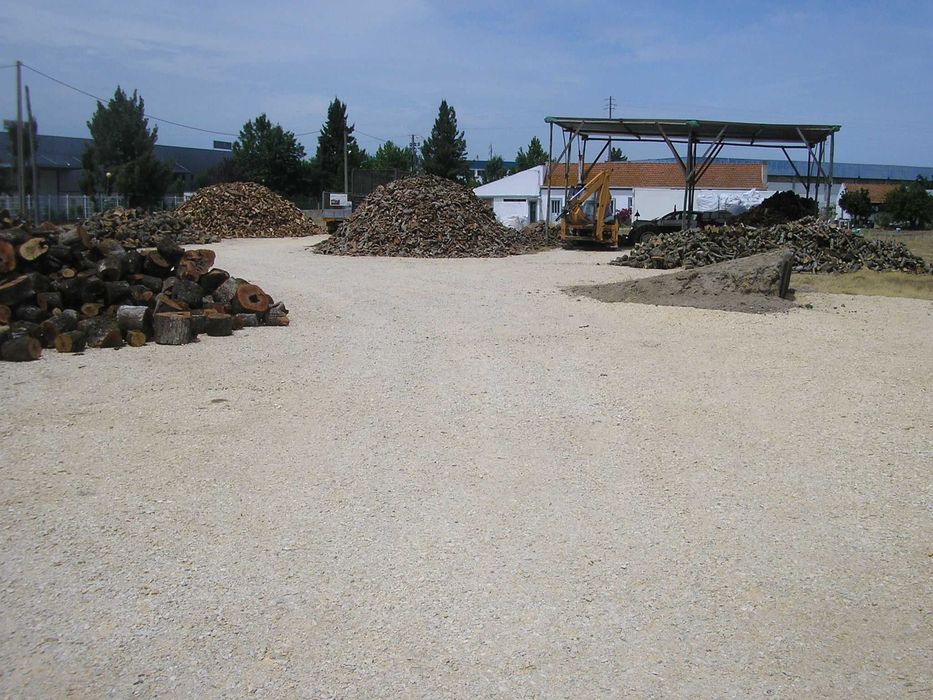 lenha de azinho seca