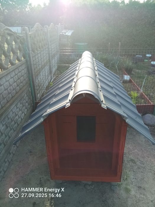 Buda dla psa średniego