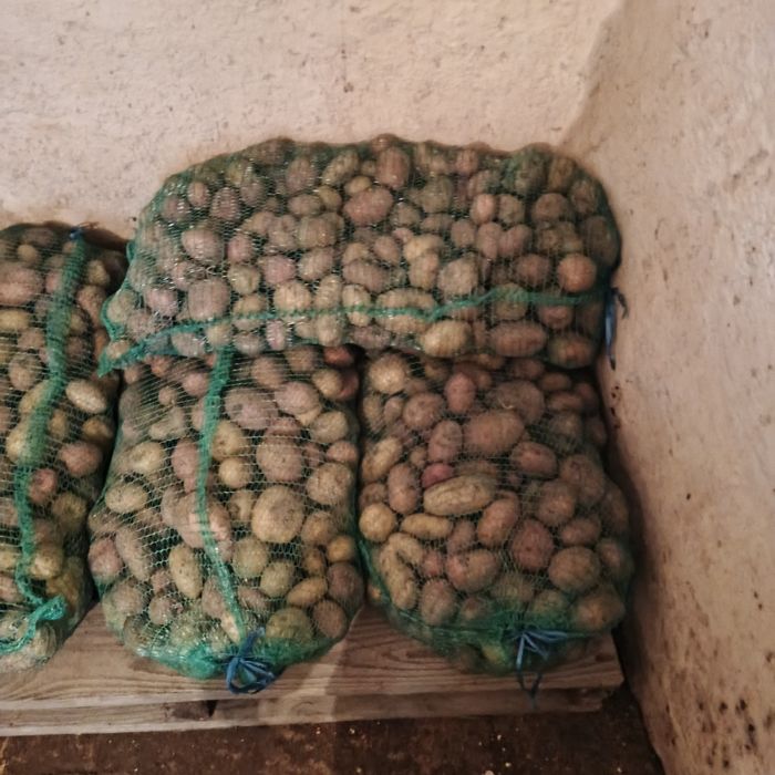 Продам Картоплю.