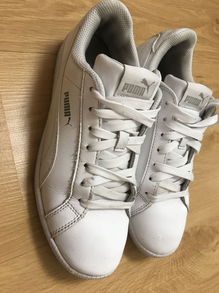 Puma 38 top