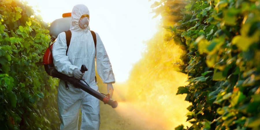 Обробка території від комарів