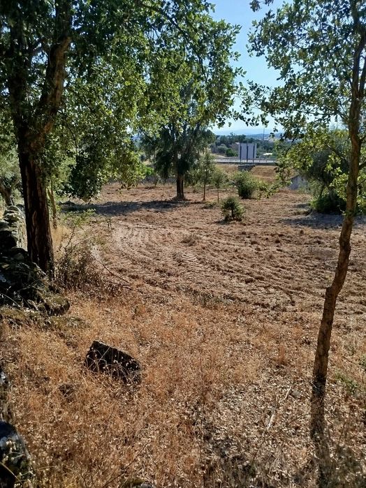 Horta agrícola em Alcains
