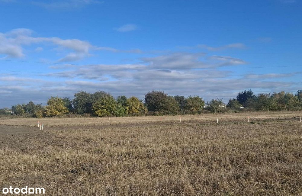 Działka, Gruszczyn