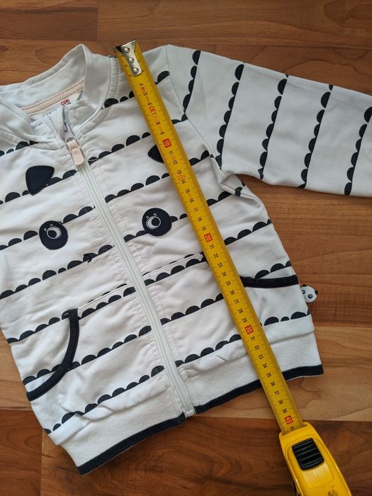 Bluza Coccodrillo
