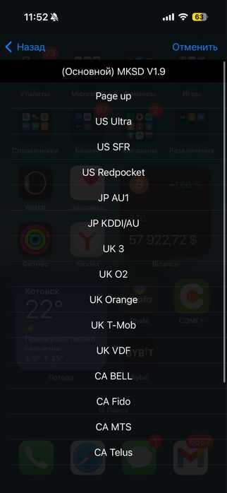 Чип 2025 года, GOLD v1.9 разблокировка iPhone рсим для айфона