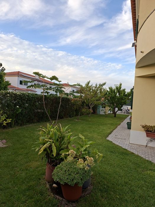 Jardineiro – Corte de Relva, Podas e Limpeza de Jardins