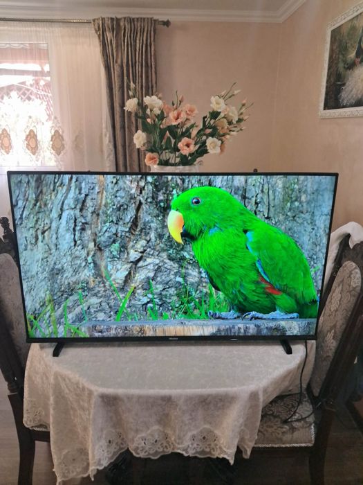 Телевізор Hisense 43 2023 року