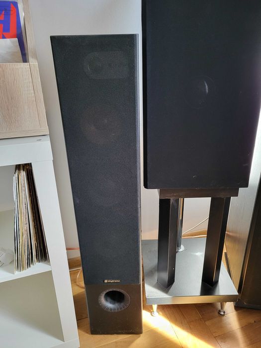 Kolumny głośnikowe SHFT650B skytronic 350 W