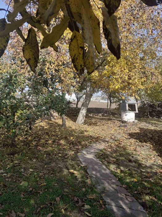 Продам будинок с. Малополовецьке від власника