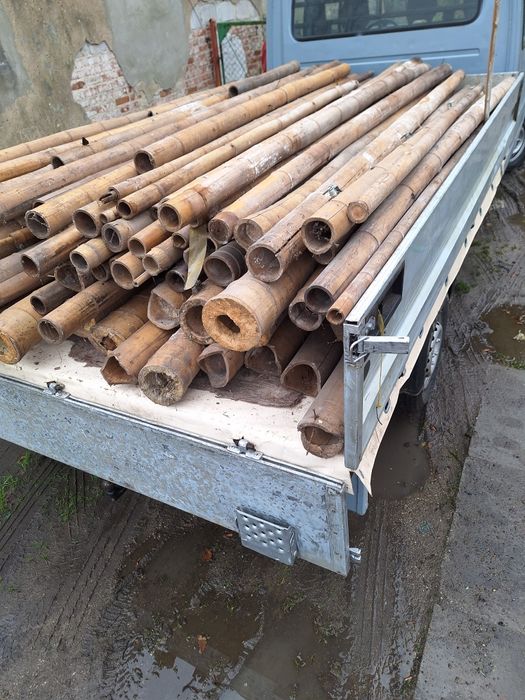 Tyczki bambysowe naturalne