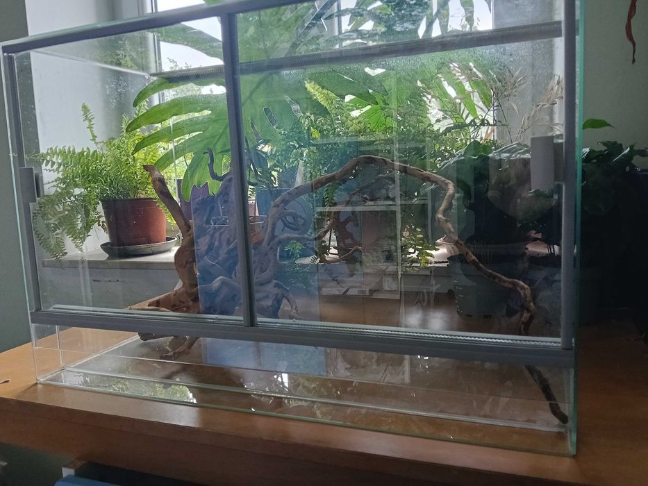 Terrarium 60x30x40