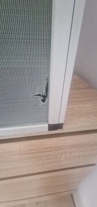 Sprzedam terrarium aluminiowe