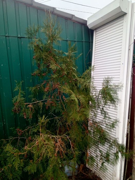 Продам ролети з алюмінієвими пакетами