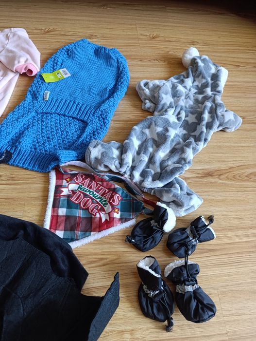 Одяг для собаки, лот