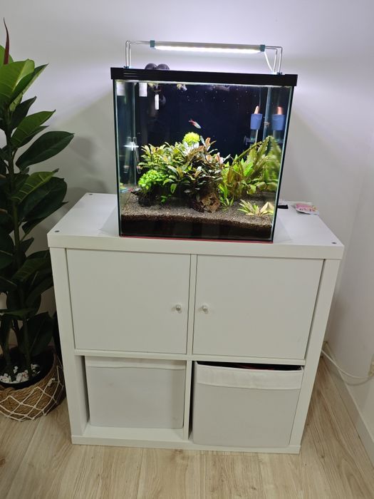 Aquário cubo 40 de 54l