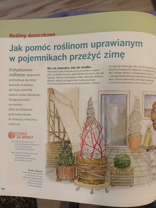 książka Piękny ogród w pół godziny