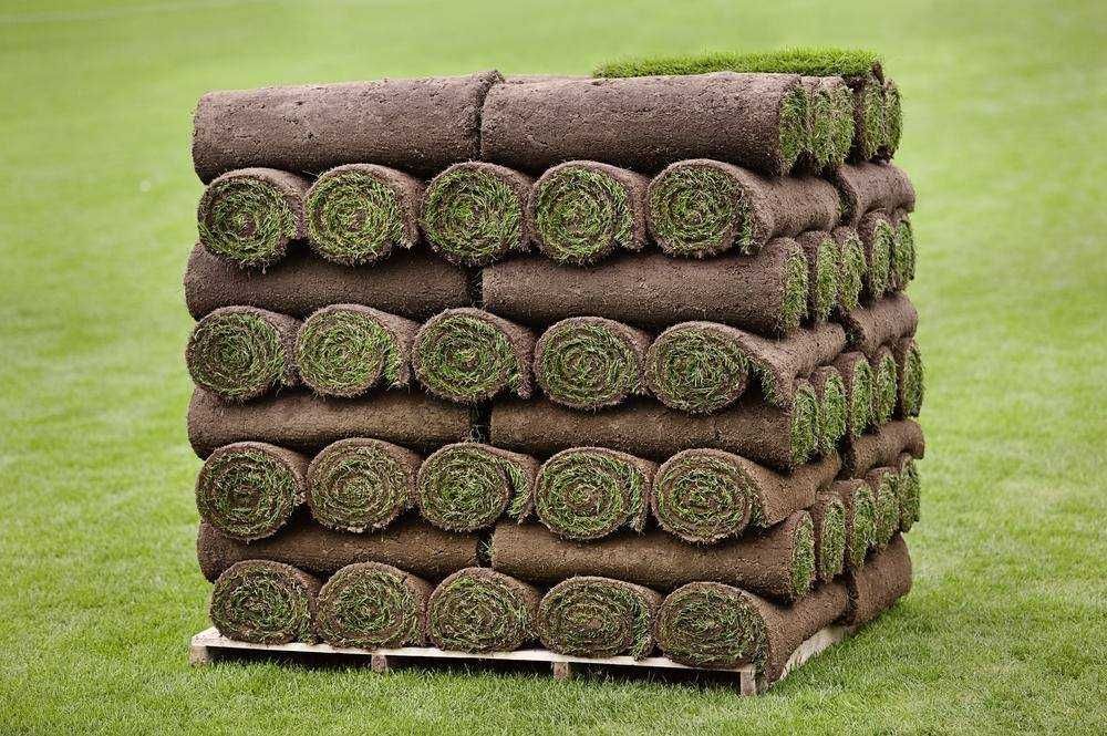 Trawa w rolce m2 Kraków małopolskie www.gardenlawn.pl/trawa-w-rolce