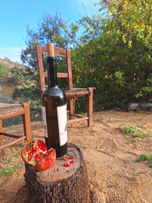 A very special estate | Fruit, Veg garden, Water abundance, Electricity | €160K