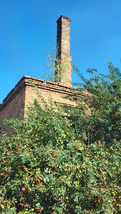 Продам комерційну нерухомість