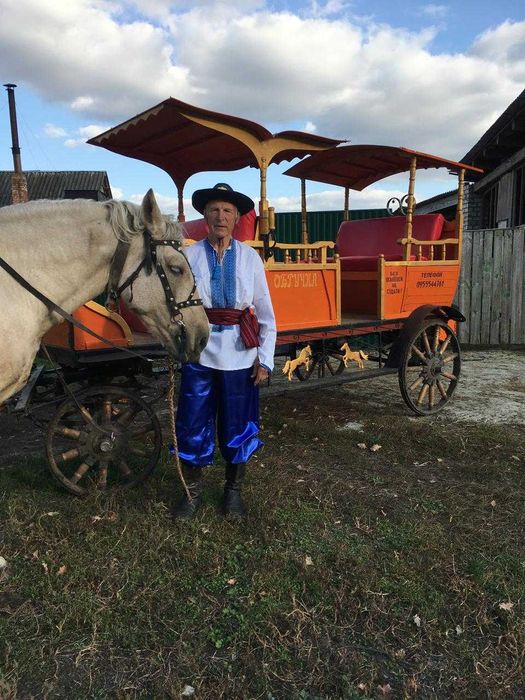 Фаетон кінний прогулянковий